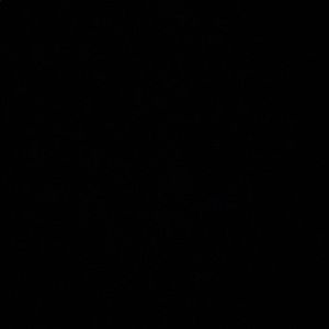 Meet your Posher, Maleka